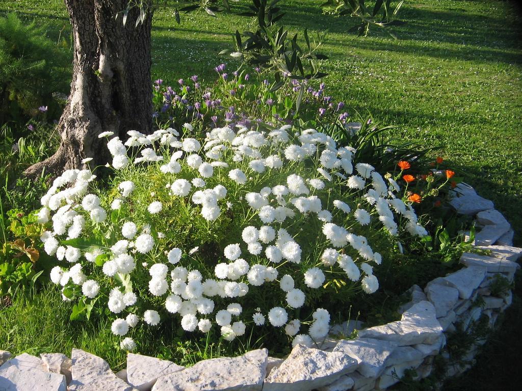 Vasilikí Dimaras Apartments מראה חיצוני תמונה
