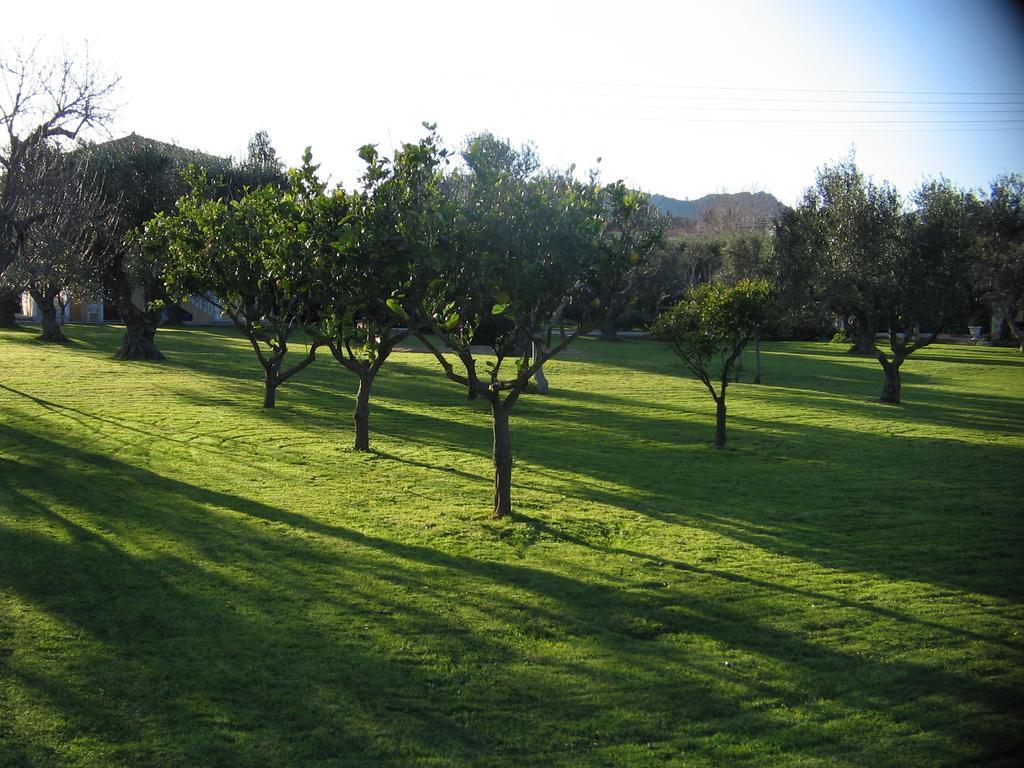 Vasilikí Dimaras Apartments מראה חיצוני תמונה
