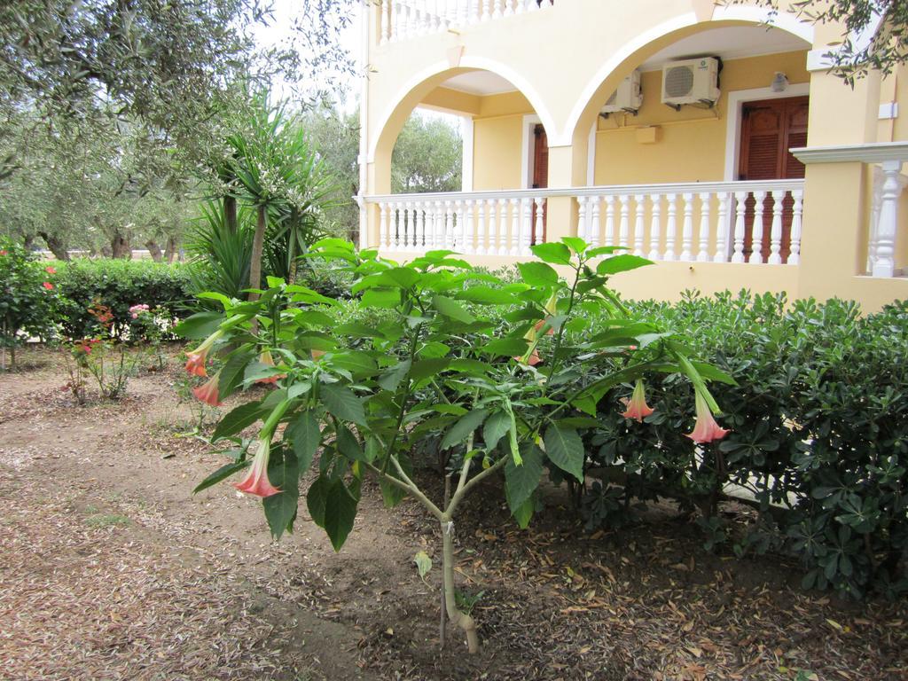Vasilikí Dimaras Apartments חדר תמונה